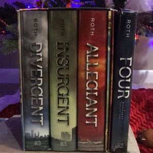 The Divergent Series